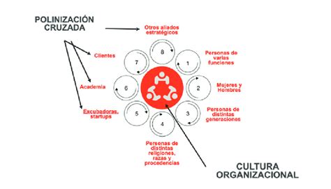 Polinización cruzada Nota. Elaboración propia (2023). | Download ...