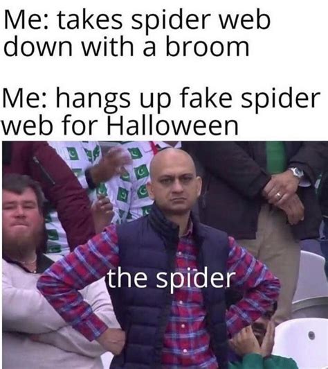 Spider got mad and bit me I'm Speyederman : r/memes