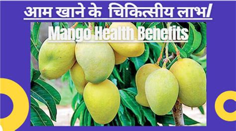 आम खाने के फायदे Mango Health Benefits । Hindi Palace Hindi Palace