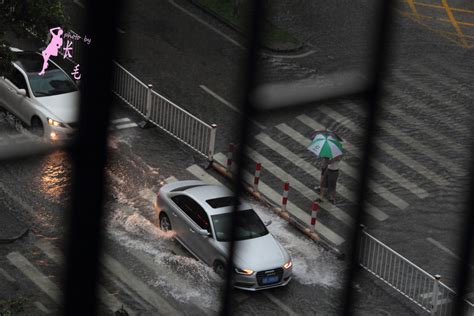 落雨大 水 街落雨大教案 随意优惠券