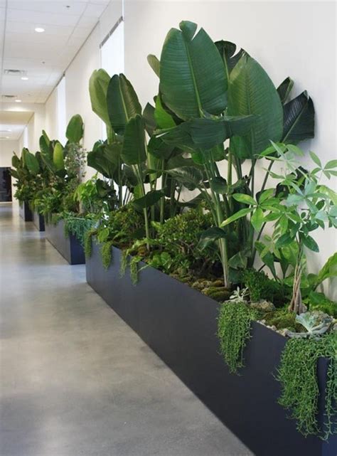 40 Refreshing Indoor Office Garden Ideas Office Salt