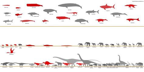 Animals Chart By Sameerprehistorica On Deviantart Prehistoric Animals