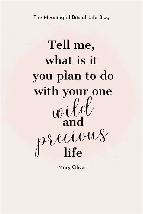 How Do You Choose To Spend Your One Wild Precious And Meaningful Life