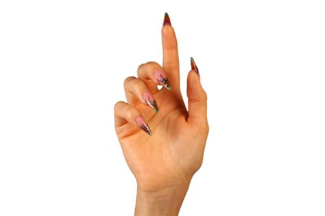 Fingernails Png Transparent Images Free Download Vector Files Pngtree