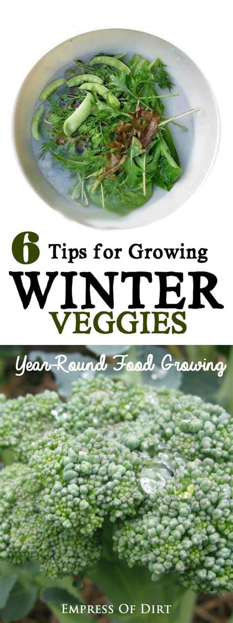 How To Grow Vegetables Outdoors In The Winter Empress Of Dirt In