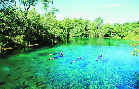 Recanto Ecológico Rio da Prata em Jardim 3 opiniões e 19 fotos