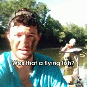 Yes, Yes It Was. GIF - Flying Fish Attack Fly - Discover & Share GIFs