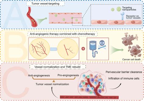 Nano Delivery Platforms Application In Gynecological Cancers For A