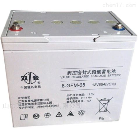 双登蓄电池6 Gfm 65铅酸式免维护 化工仪器网