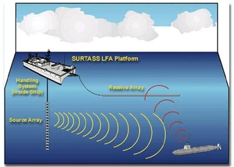 Incidental Take Authorization U S Navy Operations Of Surveillance Towed Array Sensor System