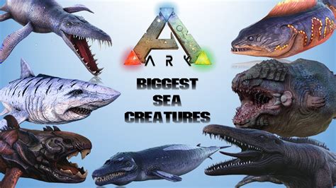 15 Biggest Sea Monsters In The Ark Universe YouTube