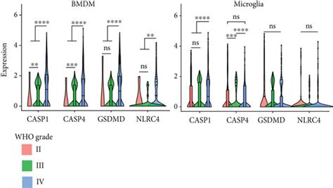 Activation Of Oxidative Stress Pathways In Pyroptotic Bmdms Was Download Scientific Diagram