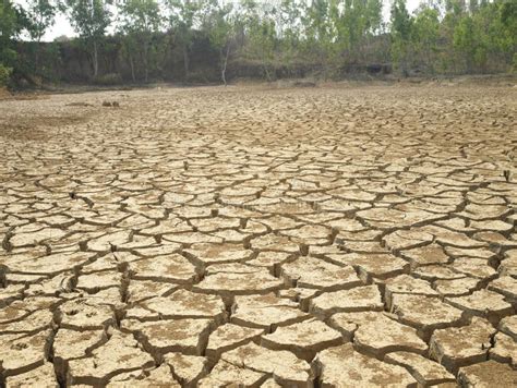 Dry floor stock image. Image of floor, damp, moisture - 19078109