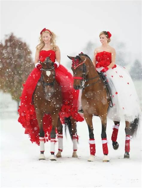 Embedded Christmas Horses Horse Costumes Horse Girl Photography