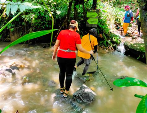 Panduan Eksplor 3 Curug Sekaligus Di Pamijahan Bogor Curug Saderi