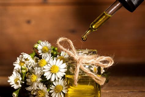 Essential Oil Perfume Recipes + How to Make Natural Fragrances