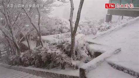 太平山積雪15公分 車陣排6公里 中午12點後禁止入園太平山森林遊樂區提供─影片 Dailymotion