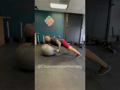 Swiss Ball Elbow Plank Single Arm Dumbbell Row Youtube