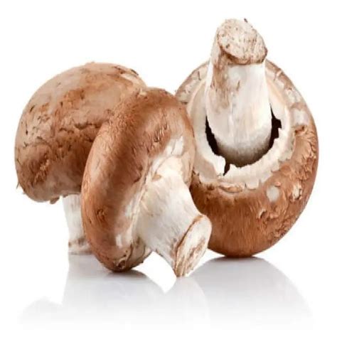 Organic Beta Glucan Lentinus Edodes Shiitake Mushroom Extract