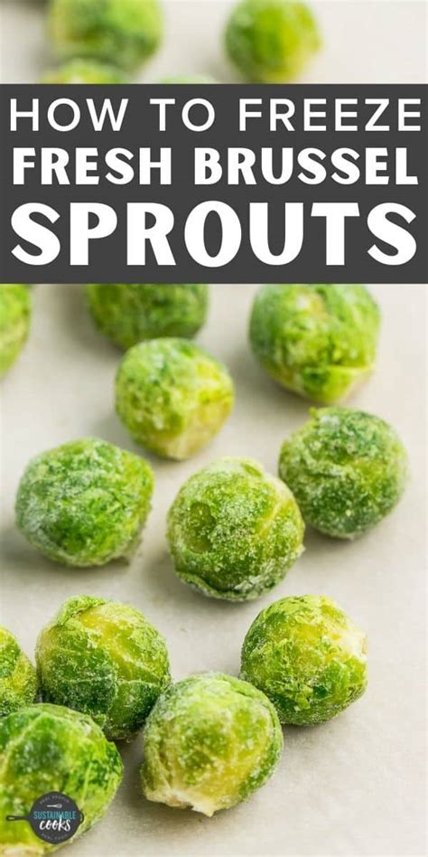 Freezing Brussel Sprouts Sustainable Cooks