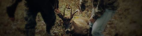 Illinois Archery Hunts | Archery deer Hunting | Illinois Bowhunting