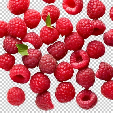 Premium PSD Fresh Raspberry Isolated On Transparent Background