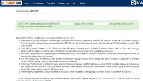 UMKM Pemilik NIK KTP Ciri Ini Dapat BLT Rp 2 4 Juta Non BPUM BRI Cek