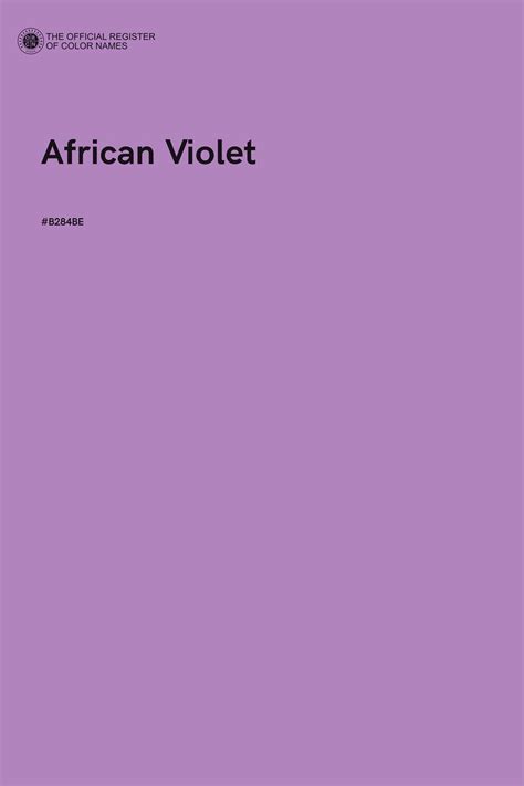 African Violet Color | Color names, Color harmony, Color