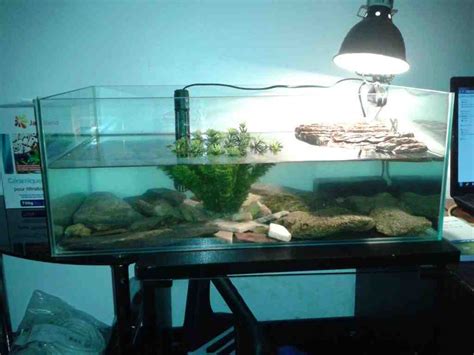 Comment Amenager Un Aquaterrarium Choisir Son Aquarium