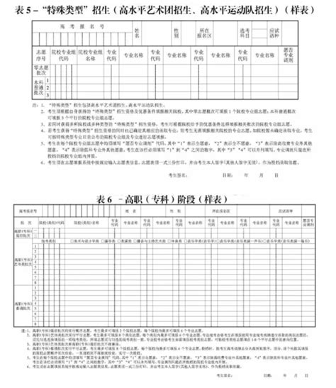 2024年上海高考志愿填报表范本 附填报指南与技巧