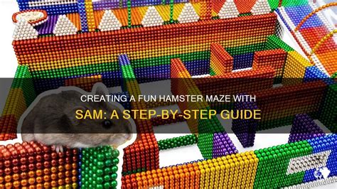 Creating A Fun Hamster Maze With Sam A Step By Step Guide Petshun