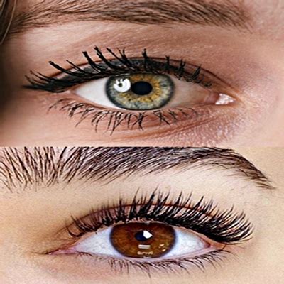 Eyelash Extension Style Guide Eyelash Extension Styles