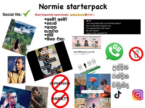 Normie Starter Pack Rpiefm