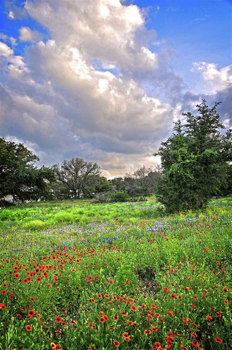 Heaven and Nature Sing Photograph by Lynn Bauer - Fine Art America