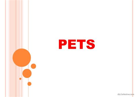 Pets English Esl Powerpoints