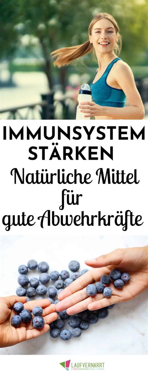 Immunsystem St Rken Nat Rliche Mittel F R Deine Abwehrkr Fte