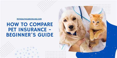 How To Compare Pet Insurance A Beginner S Guide