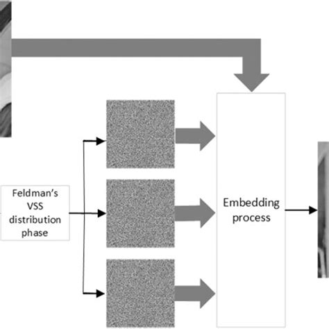 Processes Done In The Sender‐side Download Scientific Diagram