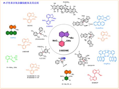 又一种新的优势手性配体P 手性苯并氧杂膦烷配体促进的不对称催化反应新进展 X MOL资讯