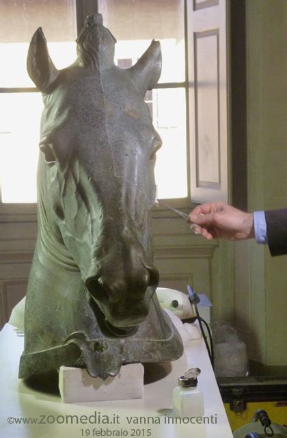 Cavallo Medici Riccardi In Restauro Al Museo Archeologico Di Firenze