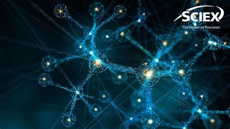 Identification And Quantitation Of Lipid Biomarkers Using High