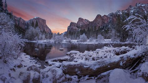 O Nie One Kamienie I Powalone Drzewo Na Brzegu Rzeki Merced River