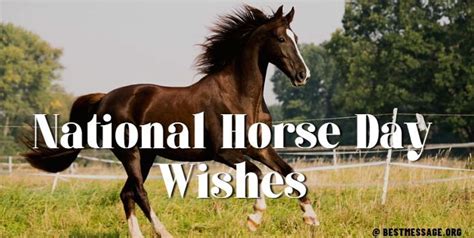 National Horse Day 2023 Wishes, Messages, Quotes Images | Day wishes ...