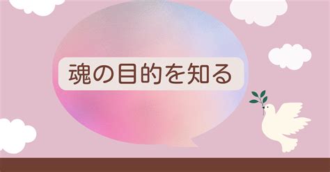 魂の目的を知って人生に生かし、あなたの人生を最適化します