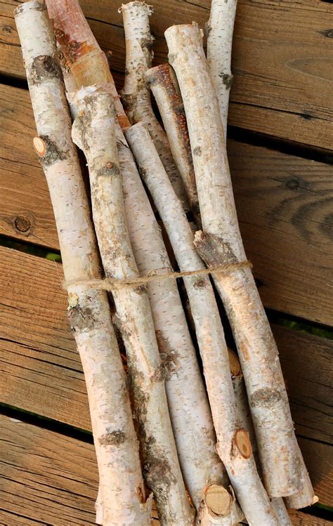 Birch Log Bundle White Birch Branches Birch Wood Sticks Etsy