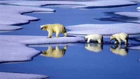 Nordamerika Kanada Nordamerika Kultur Planet Wissen