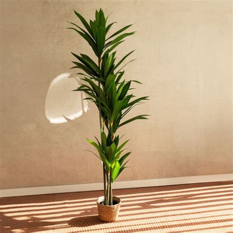 Roślina sztuczna TROPICAL ZONE dracena 180 cm