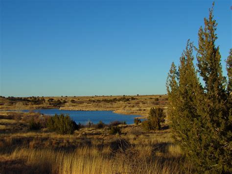 Sumner Lake State Park Fort Sumner New Mexico