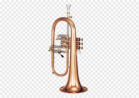 Musical Instruments Brass Instruments Cornet Trumpet Flugelhorn