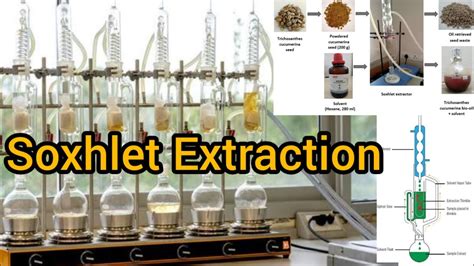 Soxhlet Extraction Method Seed Oil Extraction By Soxhlet Extraction